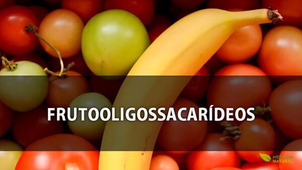 Frutooligossacarídeos