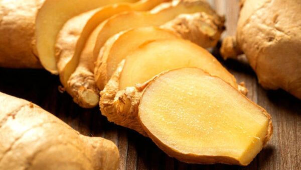 Gengibre - Zingiber officinale