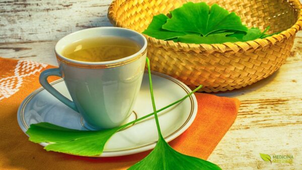 Chá de Ginkgo biloba