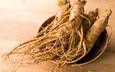 Ginseng: veja os 10 principais benefícios para a saúde