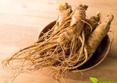 Ginseng