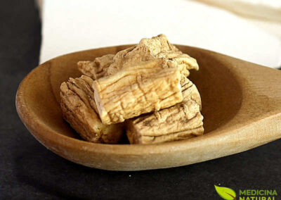 Ginseng-dos-pobres - Codonopsis spp