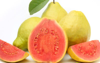 Goiaba: saiba para que serve a fruta