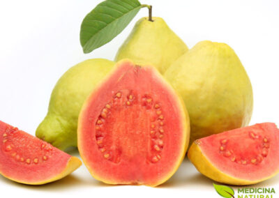 Goiaba - Psidium guava