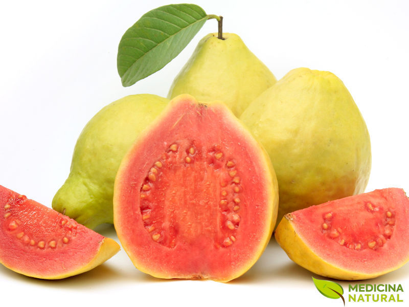 Goiaba - Psidium guava