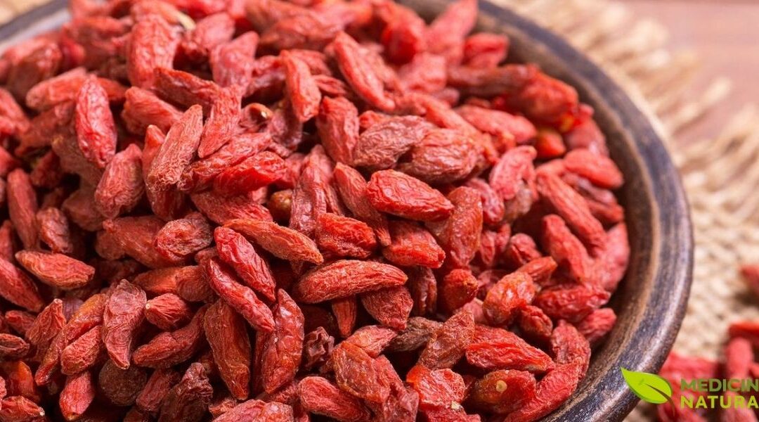 Goji Berry: Como Usar a Fruta para Mais Energia e Imunidade