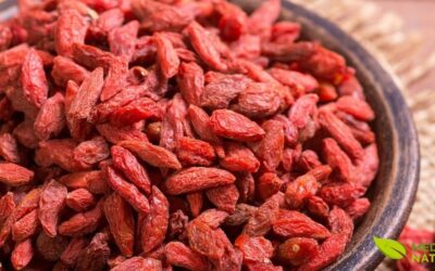 Goji Berry: Como Usar a Fruta para Mais Energia e Imunidade