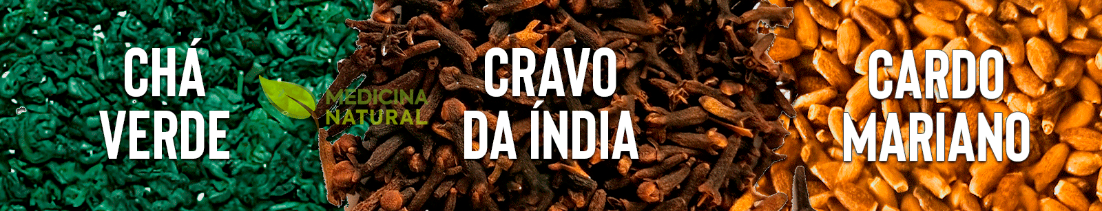 chás antioxidantes: chá-verde cravo-da-índia e cardo mariano