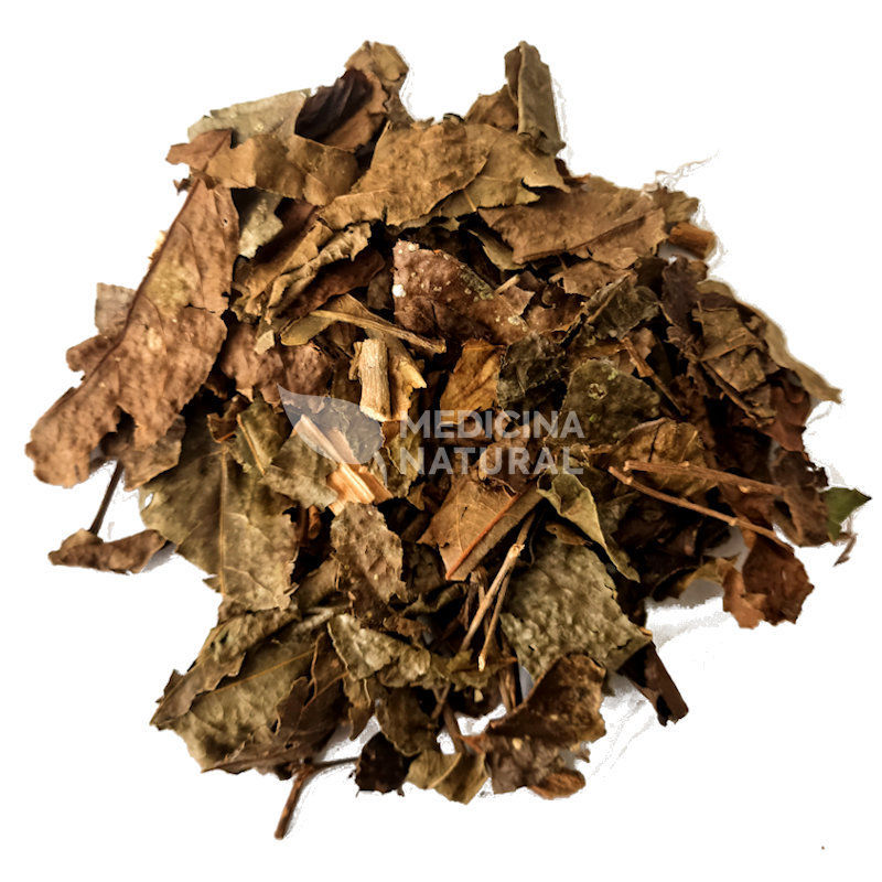 Chá de Guaco - Mikania guaco - Medicina Natural