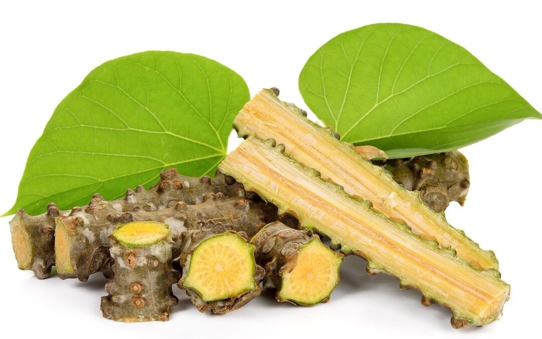 Tinospora cordifolia – GUDUCHI