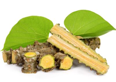 Guduchi - Tinospora cordifolia