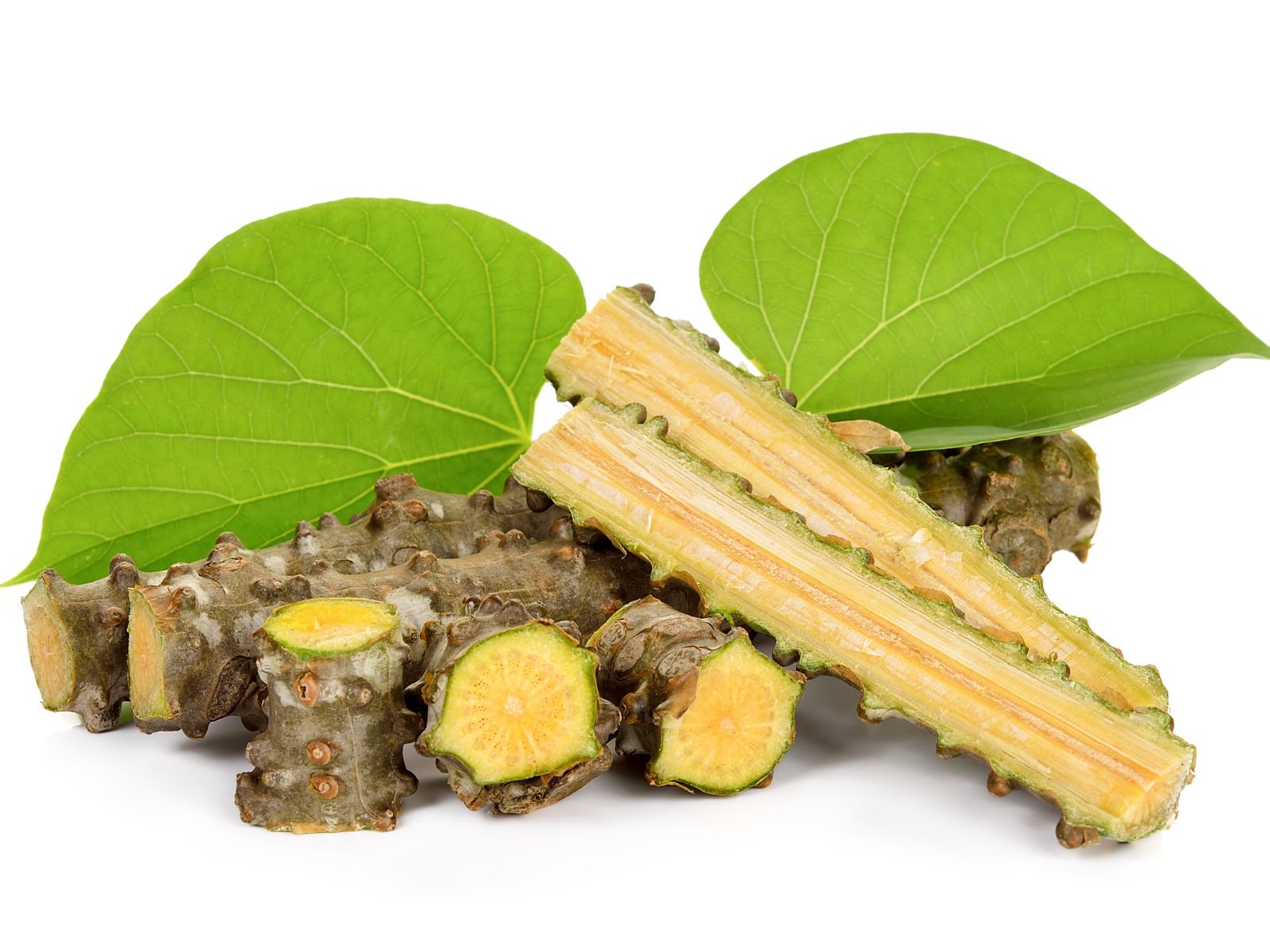 Guduchi – Tinospora cordifolia Guduchi - Tinospora cordifolia