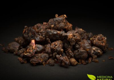 GUGGUL - Commiphora mukul