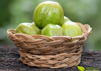 Arjuna - Haritaki - Terminalia chebula