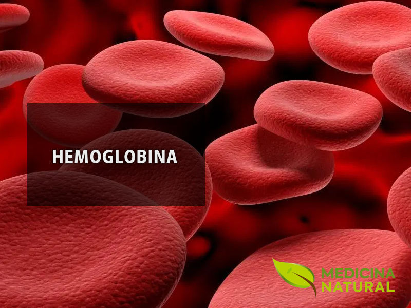 Hemoglobina