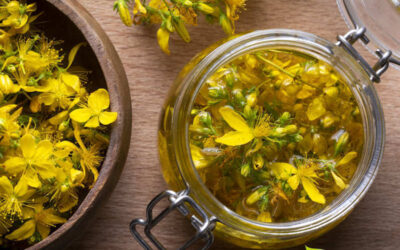 Hipérico: saiba para que serve o chá