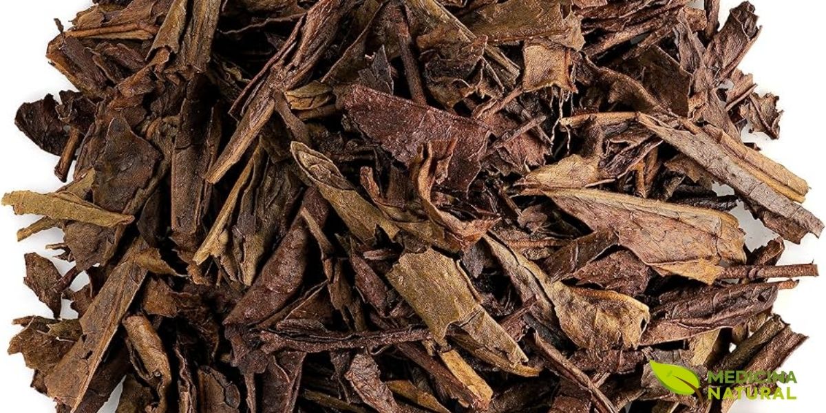 Hojicha (Bancha torrado) com folhas em tons marrons resultado da torrefação a alta temperatura, um chá verde japonês único com baixa cafeína e sabor tostado preparado a 80-90°C. A torrefação transforma as folhas de chá verde comum em uma bebida completamente diferente: o calor carameliza os açúcares naturais, reduz a cafeína e cria notas de café, caramelo e nozes torradas. Popular no Japão como chá da noite por seu baixo teor de cafeína, o Hojicha oferece conforto e calor sem o amargor típico dos chás verdes, sendo ideal para quem busca uma alternativa mais suave e reconfortante.