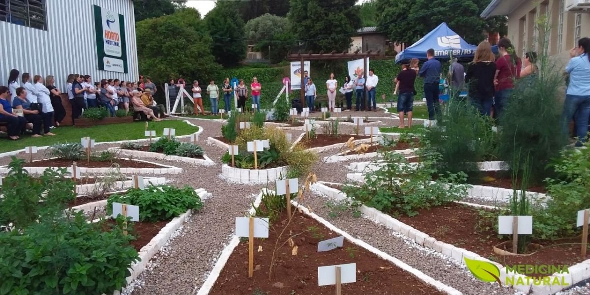 Os hortos medicinais são a base do programa Farmácia Viva, onde as 71 plantas da RENISUS são cultivadas organicamente. A produção local reduz custos em até 90% comparado a medicamentos industrializados e garante rastreabilidade completa.