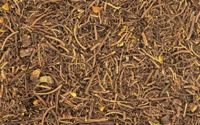 Hydrastis canadensis – GINSENG-CANADENSE; GOLDENSEAL
