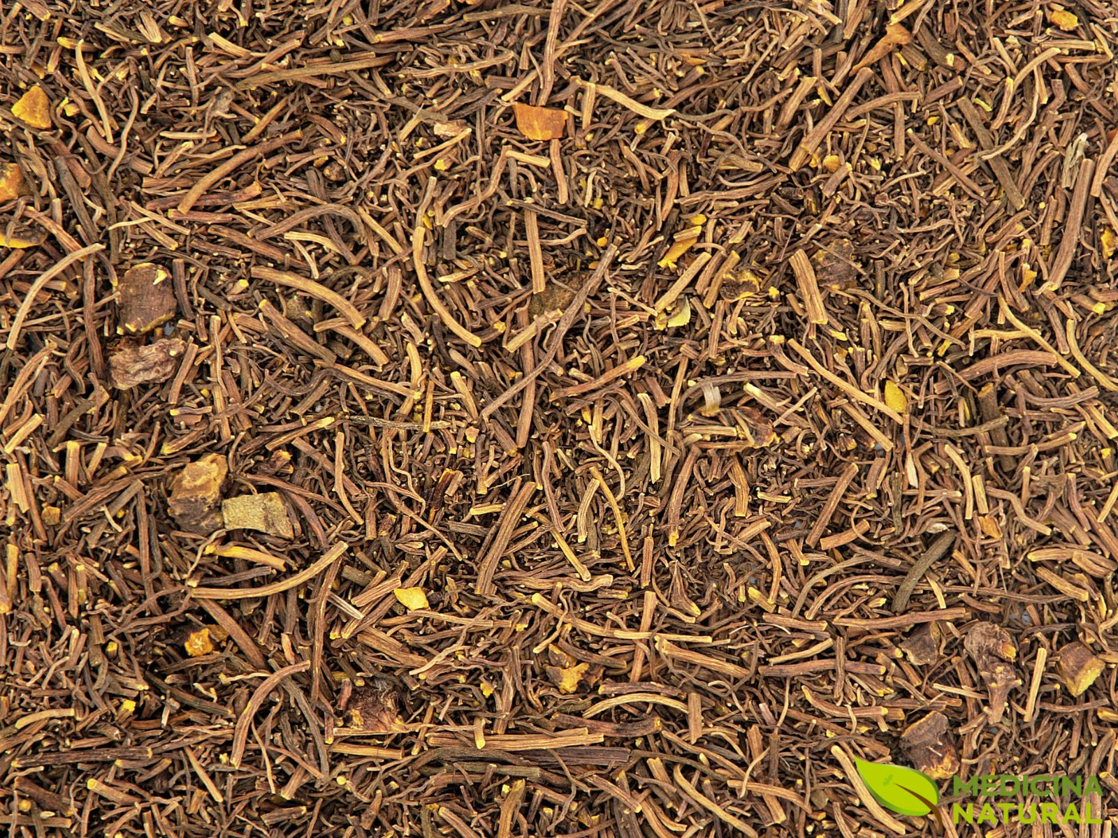 Hydrastis canadensis - GINSENG-CANADENSE; GOLDENSEAL