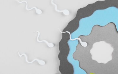 Infertilidade masculina: tratamento natural