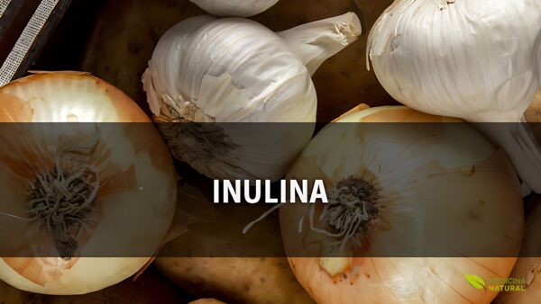 Inulina