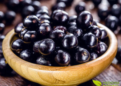 Jabuticaba - Plinia cauliflora