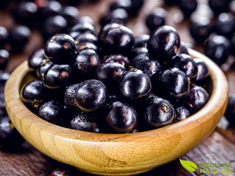 Jabuticaba - Plinia cauliflora