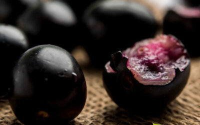 Jambolão: saiba para que serve o chá