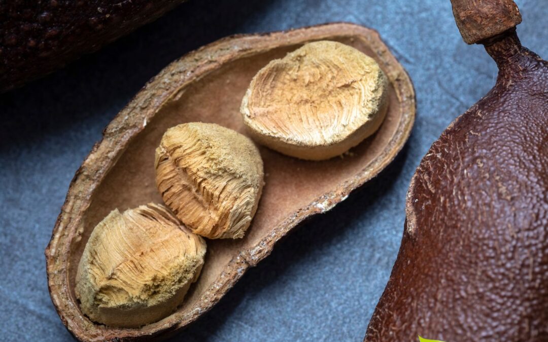 Jatobá: saiba para que serve o chá