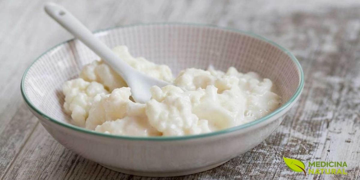 O kefir é uma bebida fermentada rica em Lactobacillus e outros probióticos, conhecida por seus múltiplos benefícios à saúde. Estudos indicam que o consumo regular de kefir pode melhorar a digestão, fortalecer o sistema imunológico e até contribuir para a saúde óssea, graças à sua riqueza em cálcio e vitamina K2.