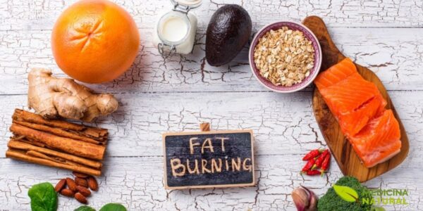 Embora a L-Carnitina seja produzida pelo corpo, ela também pode ser obtida através da alimentação, principalmente em carnes vermelhas e laticínios. Para vegetarianos e veganos, a suplementação com L-Carnitina pode ser especialmente importante, já que suas fontes alimentares são de origem animal.