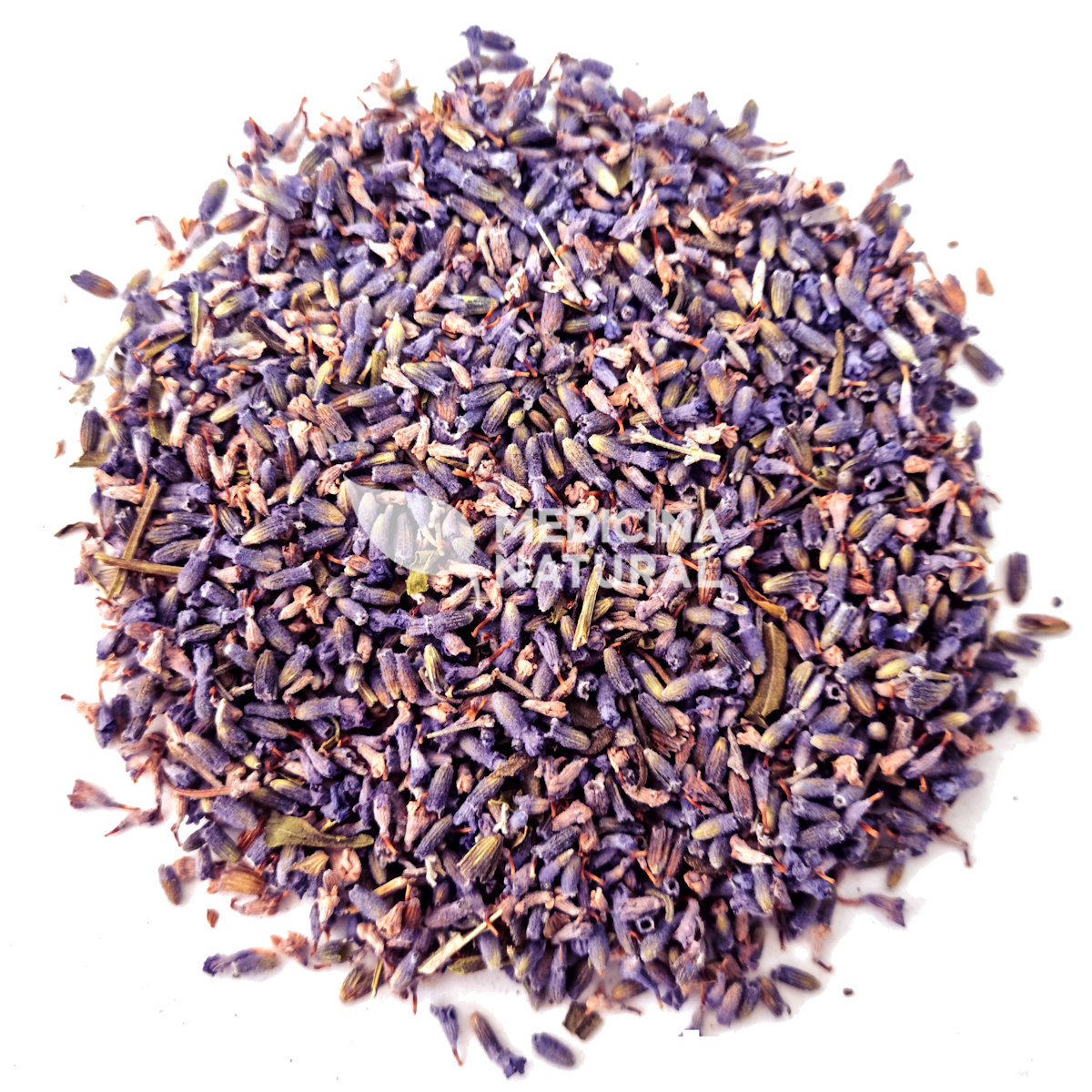 Chá de Lavanda - Alfazema Super Azul - Lavandula officinalis - Medicina Natural