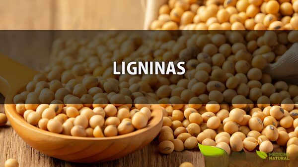 Ligninas