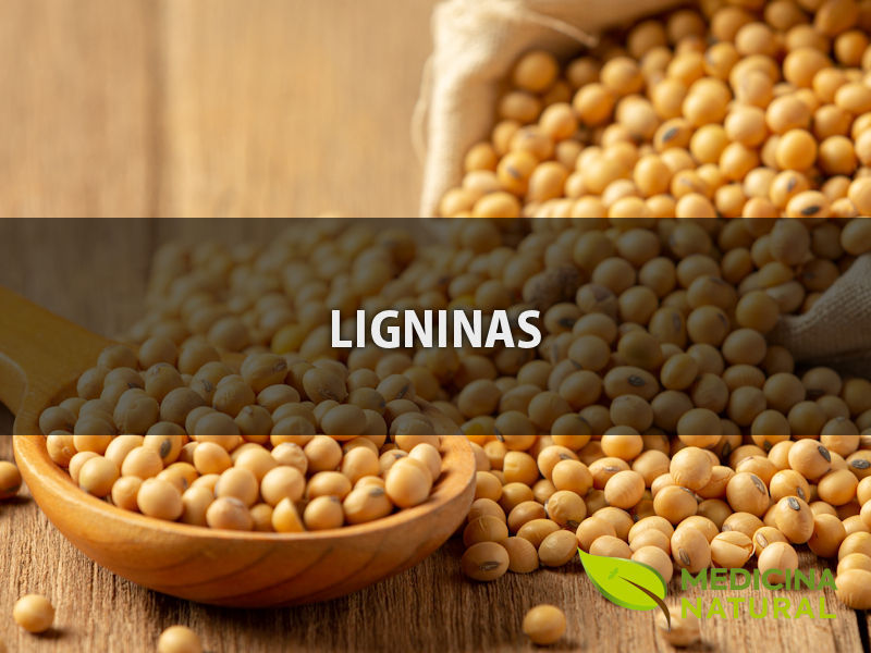 Ligninas