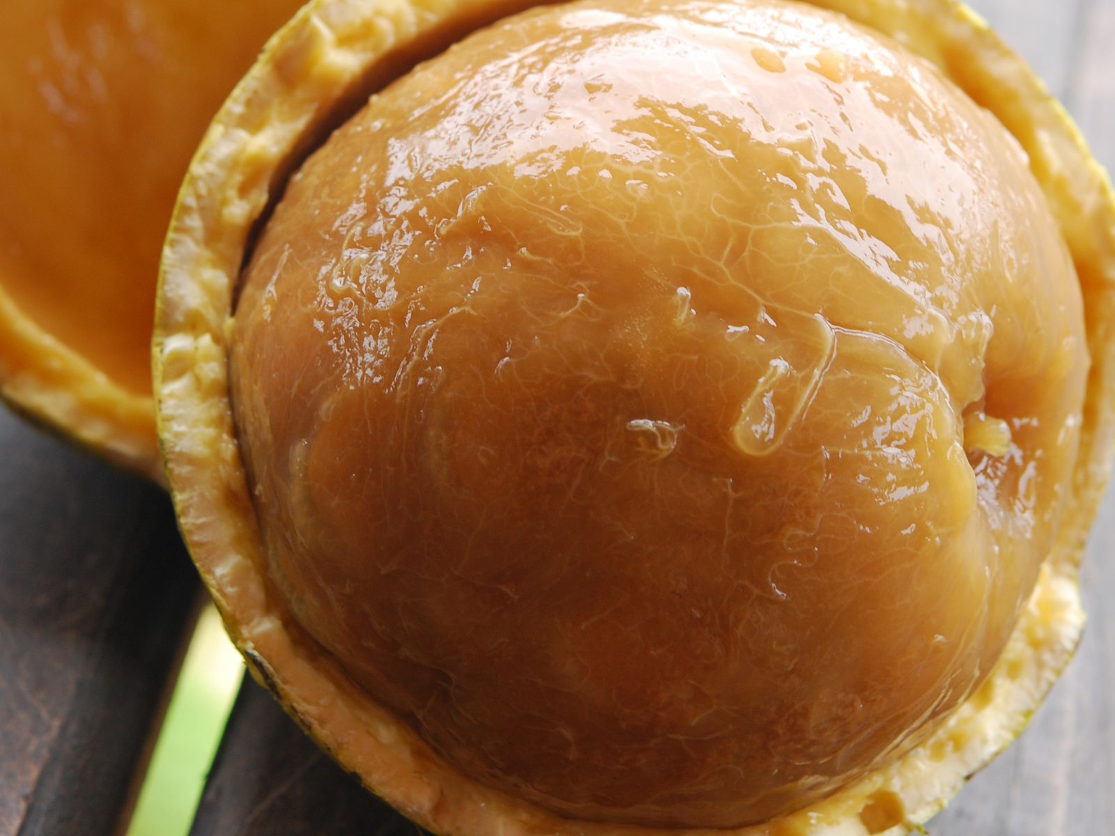 Maçã-de-elefante - Strychnos spinosa