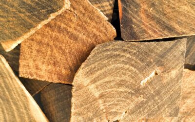 Guaiaco: saiba para que serve a madeira