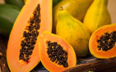 Carica papaya – MAMÃO; PAPAIA; PAPAYA