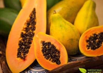 Mamão - Carica papaya