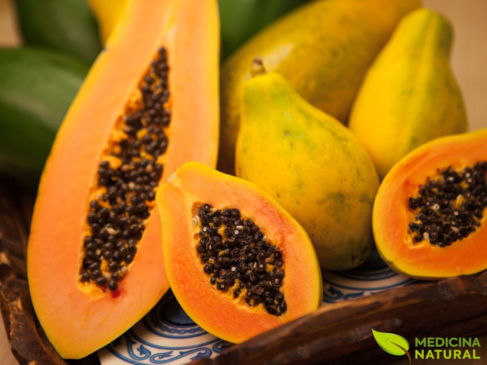 Mamão - Carica papaya