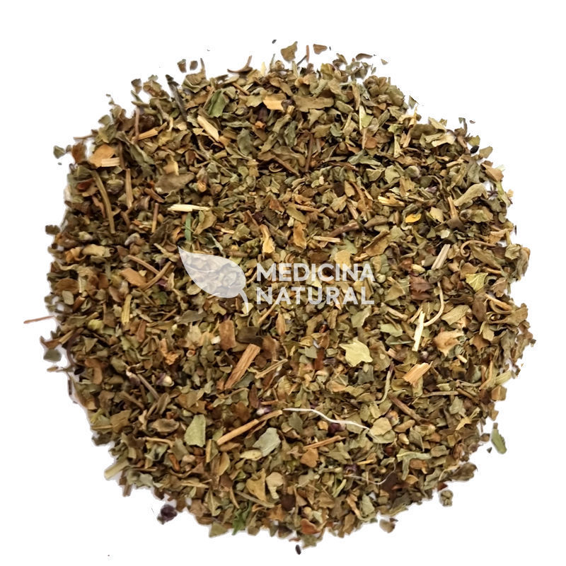 Chá de Manjericão - Ocimum basilicum - Chás e Especiarias