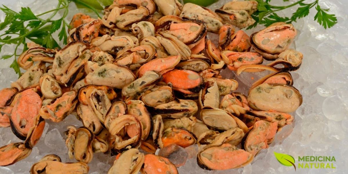 Mariscos e mexilhões são verdadeiros tesouros nutricionais, repletos de vitamina B12 e ferro. Estes frutos do mar são aliados poderosos na luta contra a anemia, fortalecendo o sangue e melhorando a oxigenação do corpo.