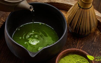 Matcha: Guia Completo do Superalimento Japonês em Pó