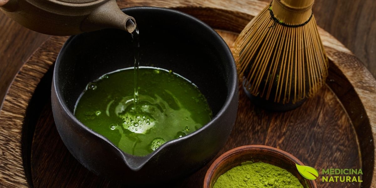 O matcha representa a forma mais concentrada e potente de consumir chá verde. Diferentemente dos chás verdes tradicionais, onde apenas a infusão é consumida, o matcha consiste na folha inteira moída em um pó ultrafino, o que significa que todos os nutrientes e compostos bioativos são ingeridos. Esta característica resulta em uma concentração de catequinas, L-teanina e cafeína significativamente maior do que em chás verdes convencionais. O processo de cultivo do matcha também é único: as plantas são cobertas com telas nas últimas semanas antes da colheita.