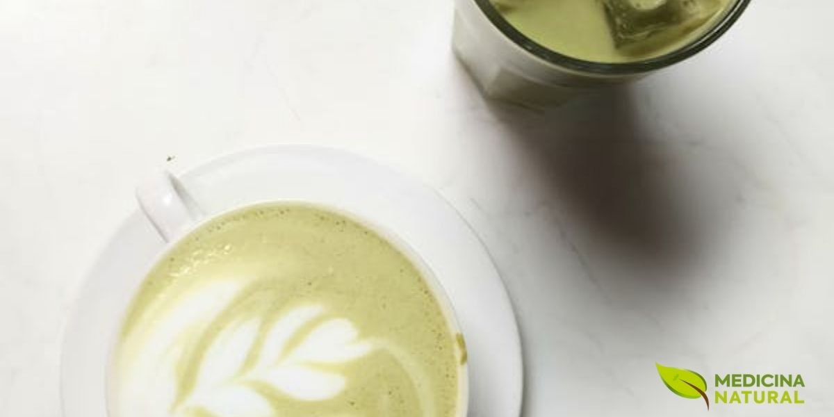 Matcha latte servido em copos de vidro transparente, permitindo apreciar as camadas de cor e a arte do latte. A combinação de Matcha com leite vaporizado cria uma bebida cremosa e nutritiva, mantendo os benefícios antioxidantes do EGCG enquanto suaviza o sabor umami característico do Matcha cerimonial.