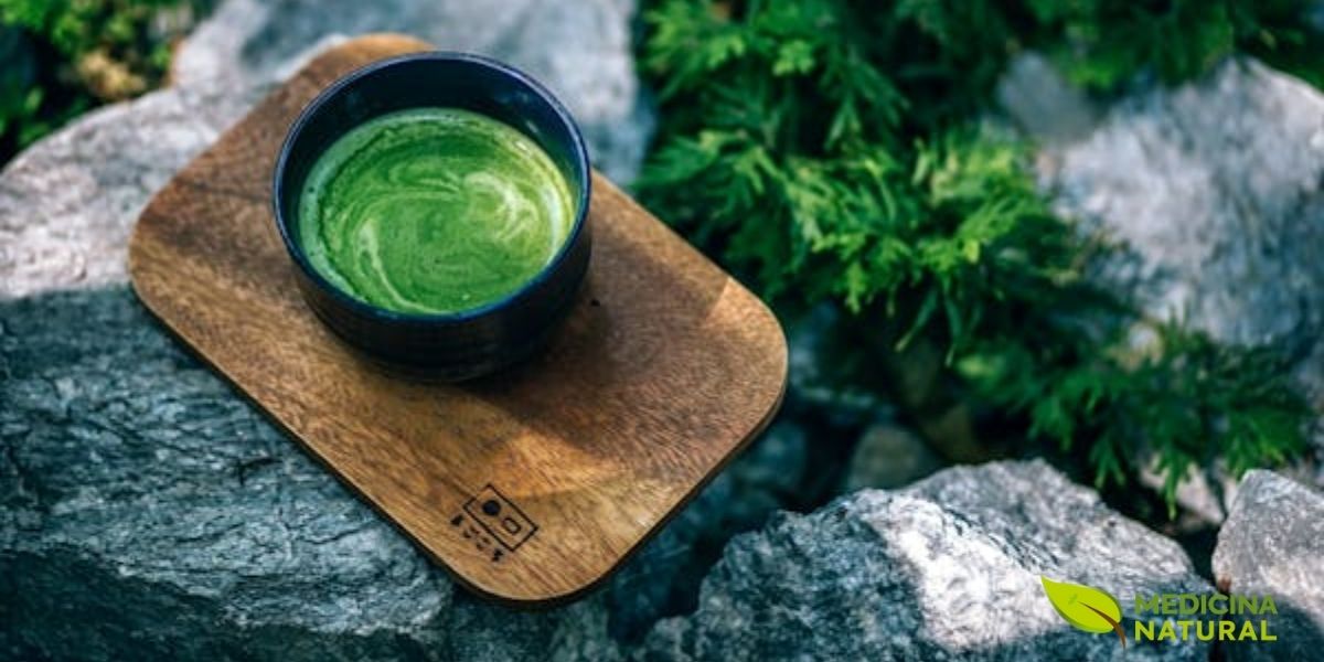 O Matcha latte preparado tradicionalmente em tigela preta revela a espuma cremosa característica, resultado da batida vigorosa com o chasen (batedor de bambu). A cor verde-jade vibrante indica alta concentração de clorofila, produzida pelo cultivo sombreado das folhas de chá. Este método de preparo preserva todos os nutrientes do Matcha.