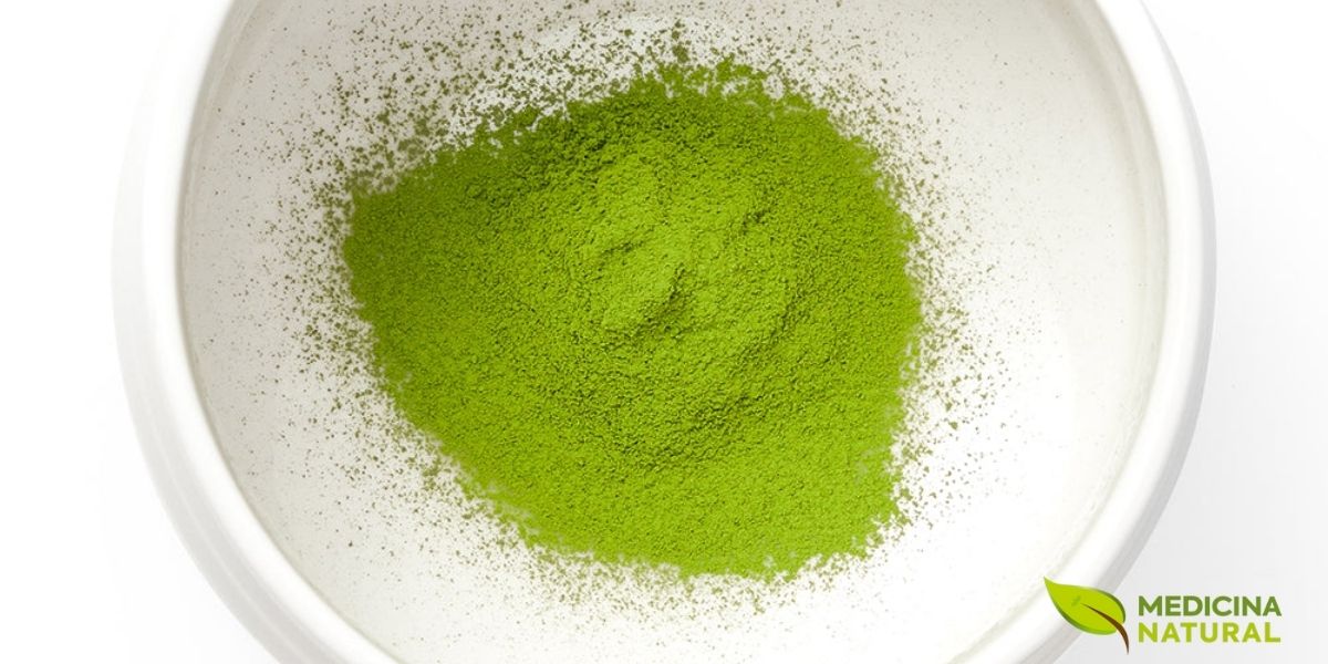 O pó de matcha preserva todas as catequinas das folhas de chá verde. A cor verde vibrante indica alta concentração de clorofila e EGCG. O processamento cuidadoso e o sombreamento das plantas antes da colheita aumentam significativamente os níveis deste poderoso antioxidante natural.