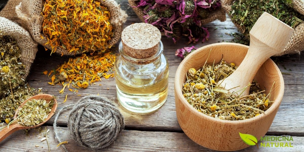 A fitoterapia combina o conhecimento tradicional com a validação científica para oferecer tratamentos naturais e eficazes. Ervas secas, óleos essenciais e extratos vegetais são preparados a partir de plantas medicinais como o Pinhão-roxo, respeitando dosagens seguras e formas de uso adequadas para cada condição de saúde.