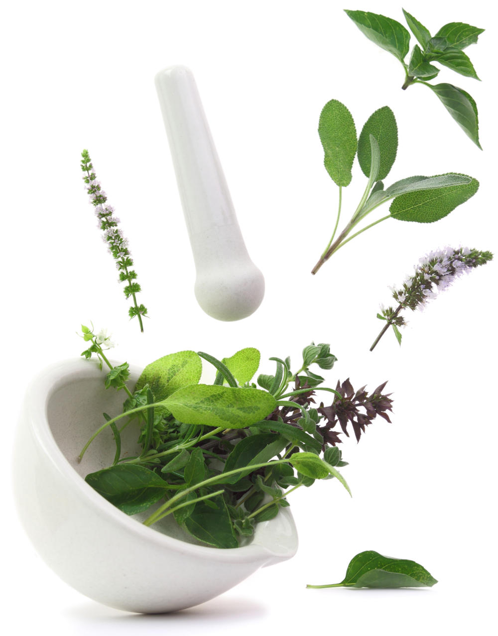 Medicina Natural - Ervas Naturais