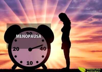 Produtos naturais para menopausa